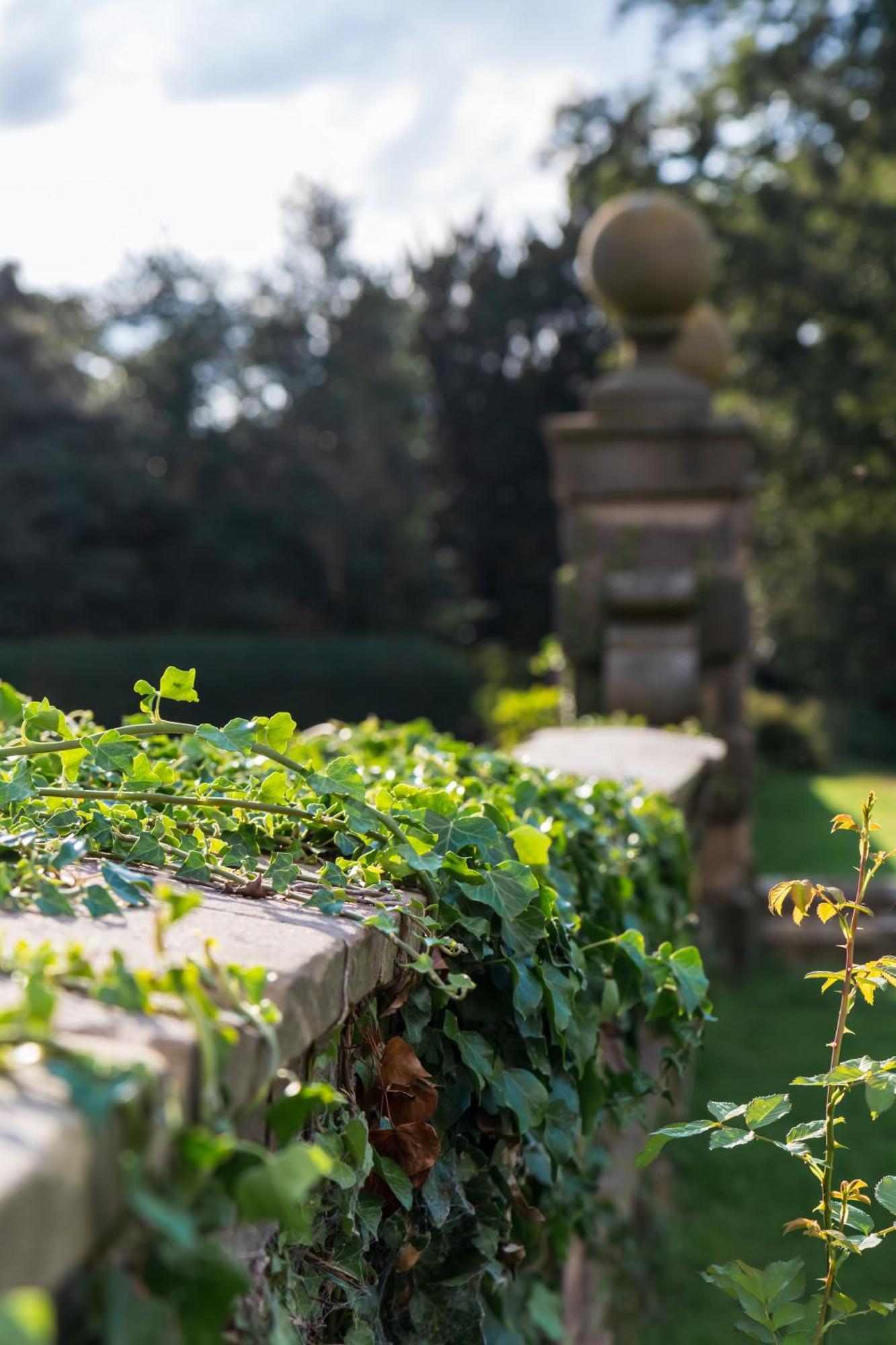 Bosworth Hall Hotel & Spa Market Bosworth Kültér fotó